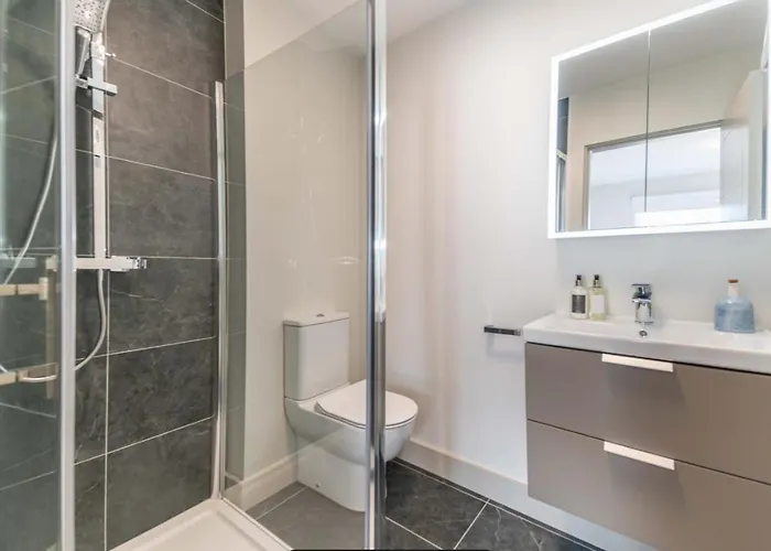 Synergy Montague Street 都柏林